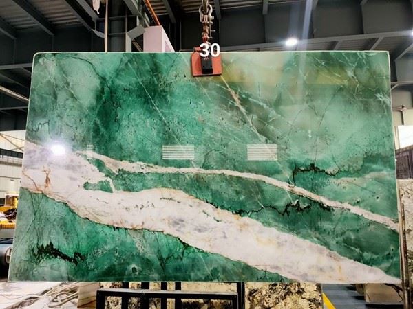 Botanic Wave Quartzite wall slab